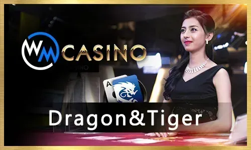Tips & Guides
